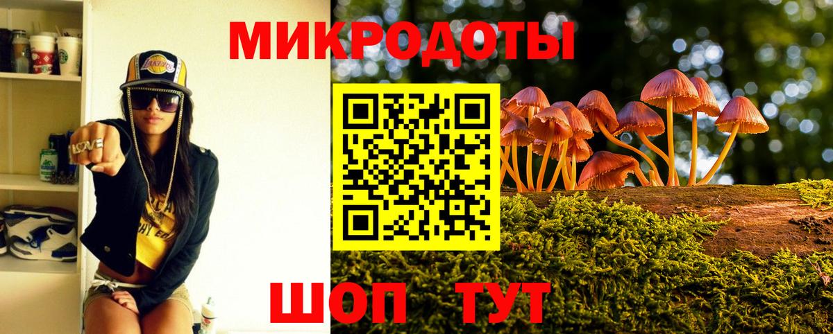 Псилоцибиновые грибы мицелий Урус-Мартан