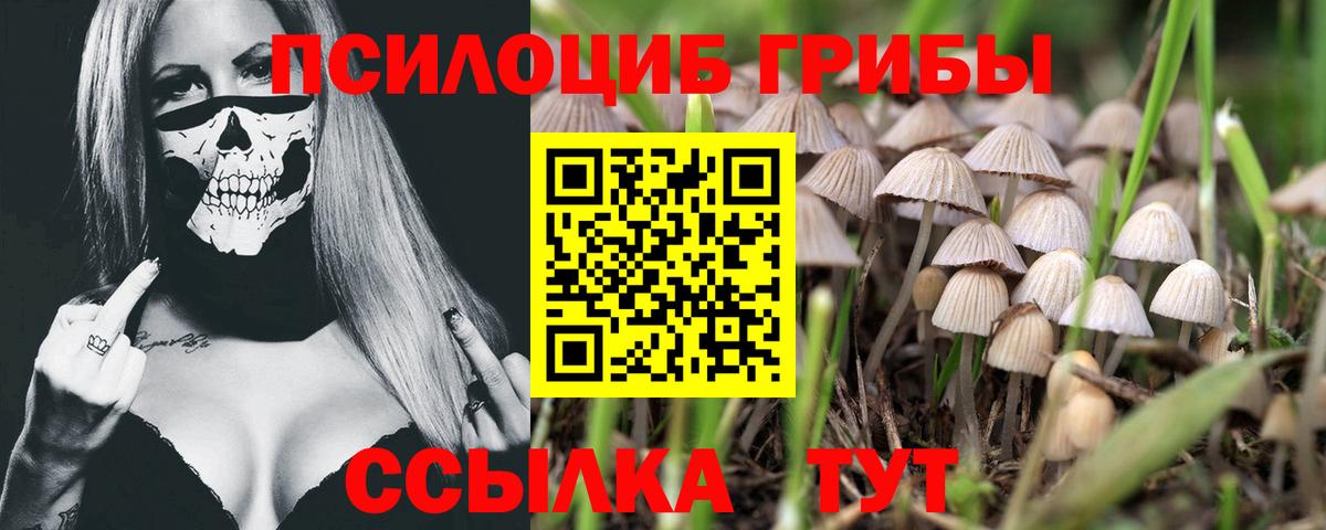Урус-Мартан  Галлюциногенные грибы GOLDEN TEACHER  Вход с VPN 